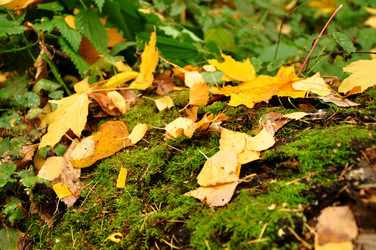 Similar image 21489723