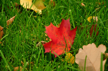 Similar image 21489725