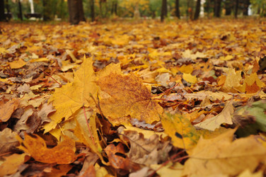 Similar image 21489727