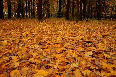 Similar image 21489731