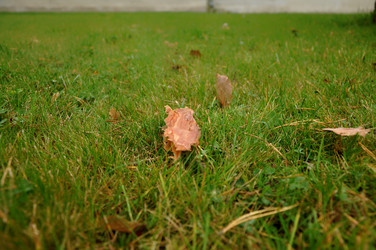 Similar image 21489732