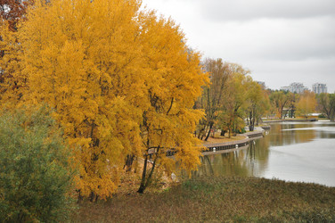 Similar image 21489733