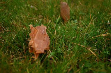 Similar image 21489734