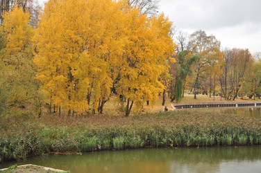 Similar image 21489735