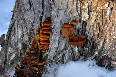 Similar image 21491567