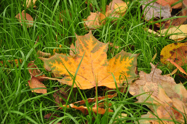 Similar image 21491568