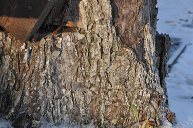 Similar image 21491569