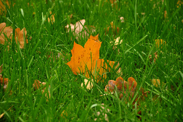 Similar image 21491832