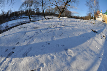 Similar image 21491841