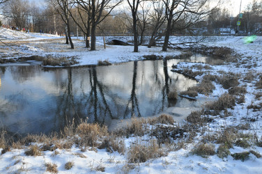 Similar image 21491848