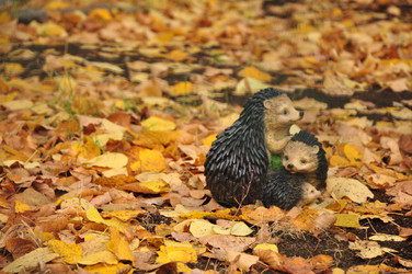 Similar image 21502479