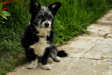 Similar image 21489152