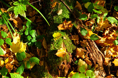 Similar image 21489158