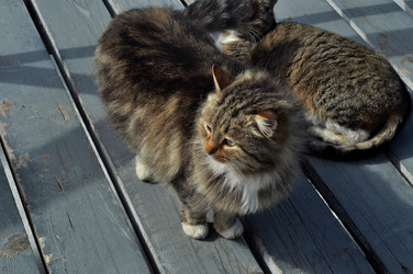 Similar image 21489159