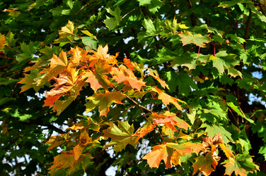 Similar image 21489163