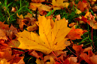 Similar image 21489164