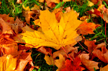 Similar image 21489165