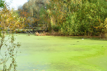 Similar image 21489166