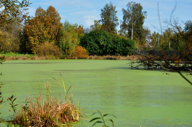 Similar image 21489167