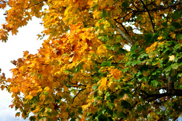 Similar image 21489546