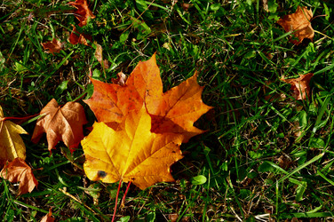 Similar image 21489548