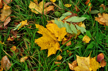 Similar image 21489762