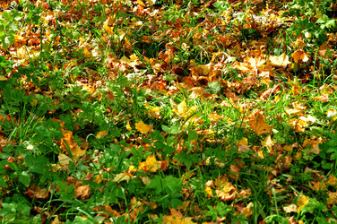 Similar image 21489763