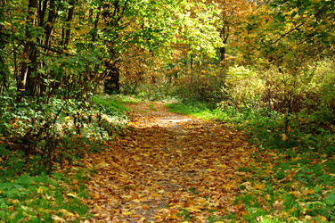 Similar image 21489766