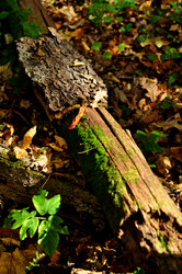 Similar image 21489767