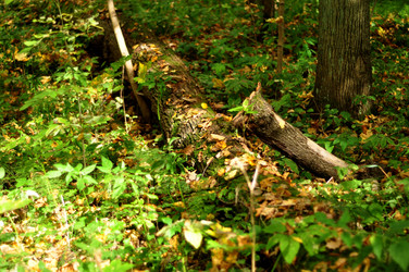 Similar image 21489769