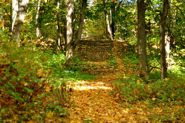 Similar image 21489770