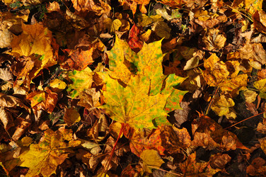 Similar image 21489772