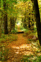 Similar image 21489773