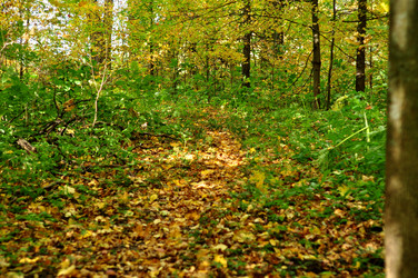 Similar image 21489775