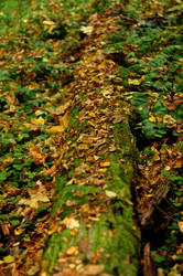 Similar image 21491572