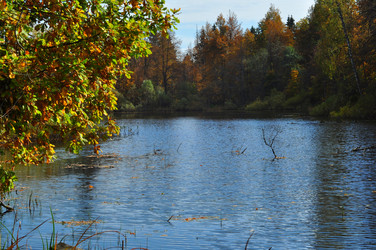 Similar image 21491855