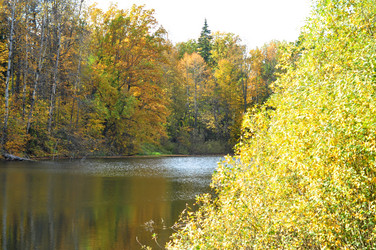 Similar image 21491857