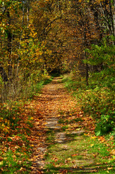 Similar image 21493824