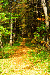 Similar image 21495240