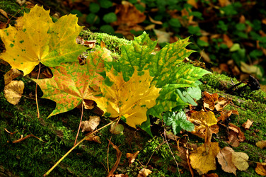 Similar image 21504208