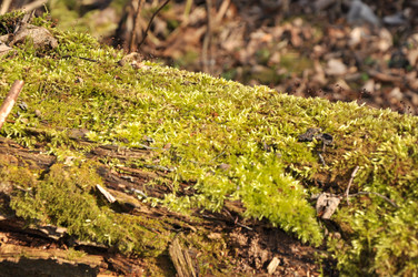 Similar image 21504209