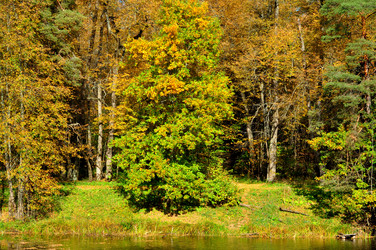 Similar image 21504295