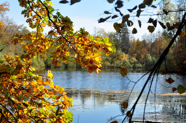 Similar image 21502414