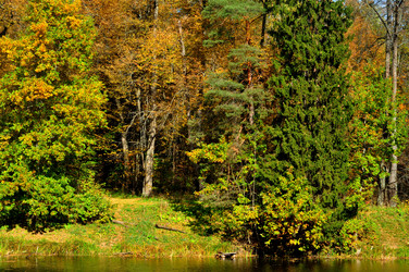 Similar image 21502486