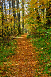 Similar image 21502487