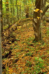 Similar image 21502489