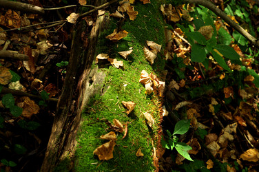 Similar image 21502492