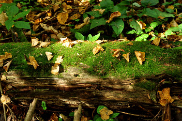 Similar image 21502493