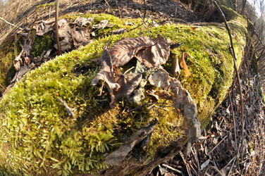 Similar image 21502496