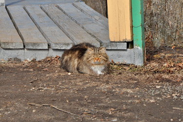 Similar image 21502940